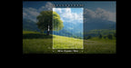 LUZ DEL BOSQUE - 0557S