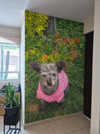 PERRITA EN JARDÍN - 0962S