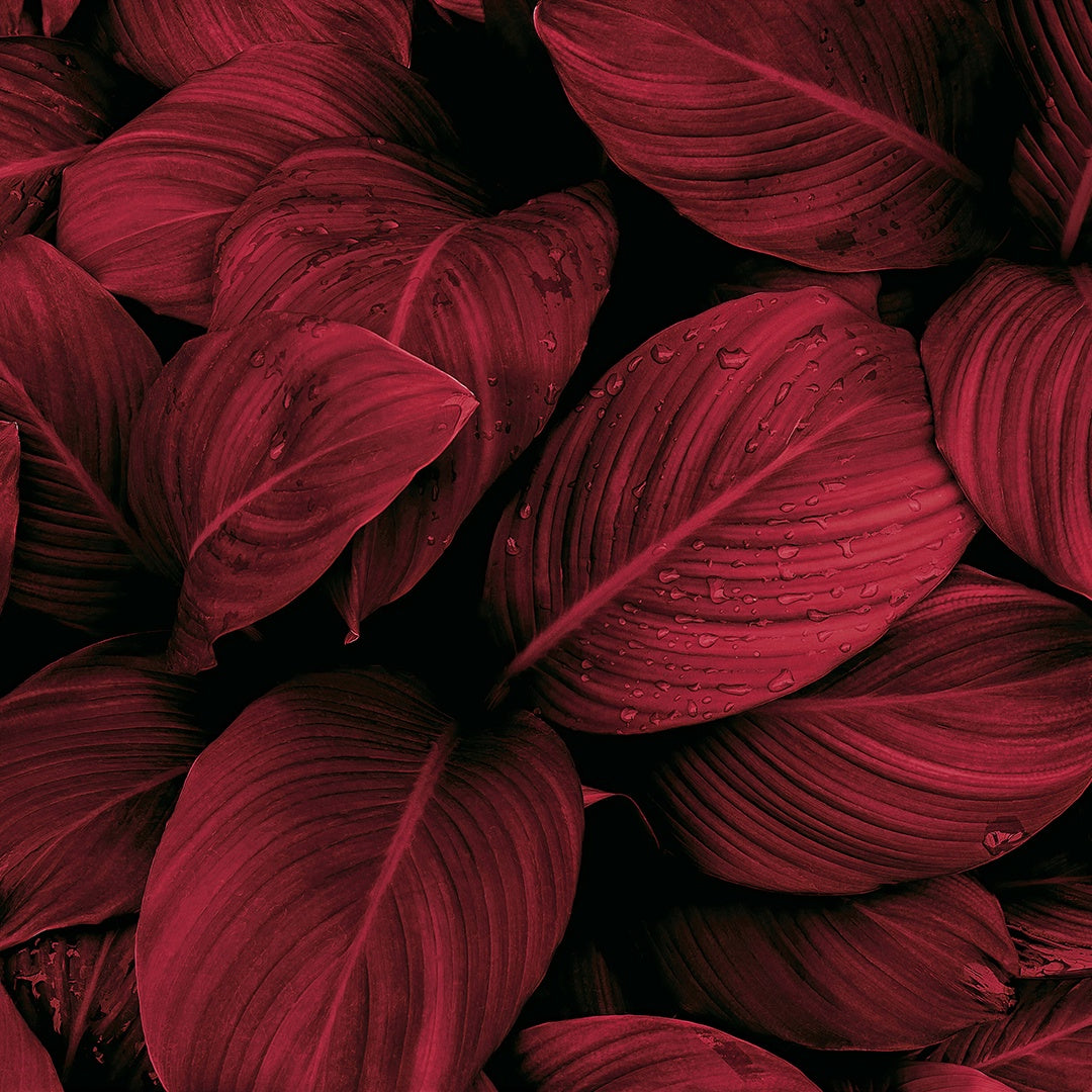 DECORACIÓN DE HOJAS 83