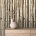 MADERA 6