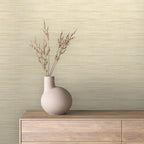 TEXTURA 1
