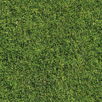 DECORACIÓN DE HOJAS 4