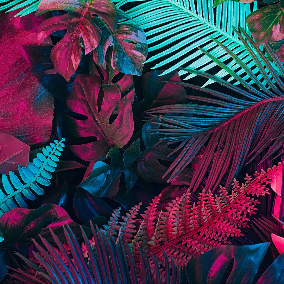DECORACIÓN DE HOJAS 90
