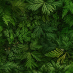 DECORACIÓN DE HOJAS 57