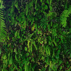 DECORACIÓN DE HOJAS 61