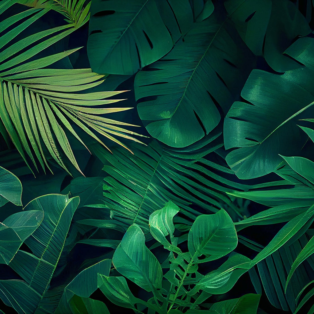 DECORACIÓN DE HOJAS 53