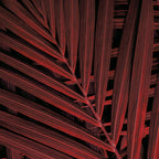 DECORACIÓN DE HOJAS 86