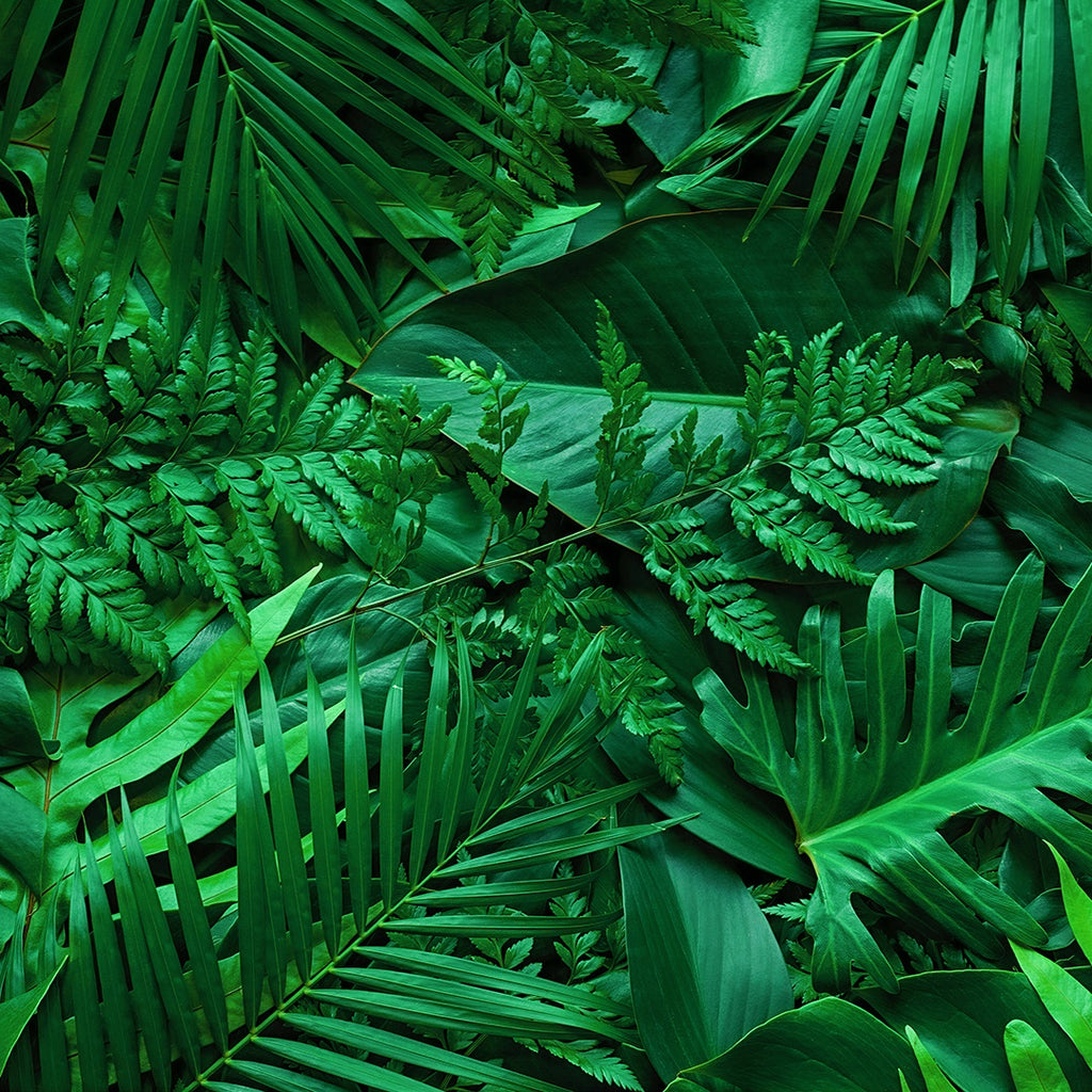 DECORACIÓN DE HOJAS 55