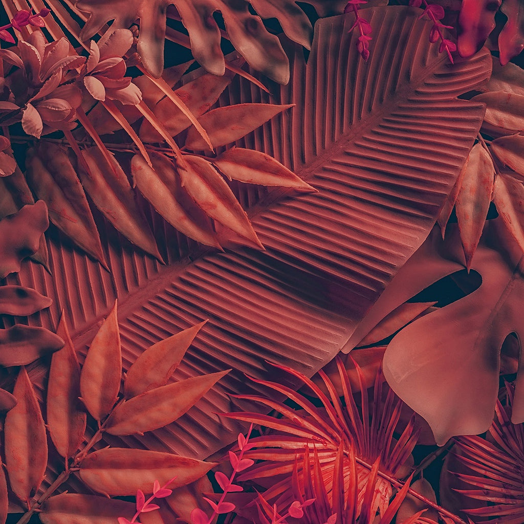 DECORACIÓN DE HOJAS 88