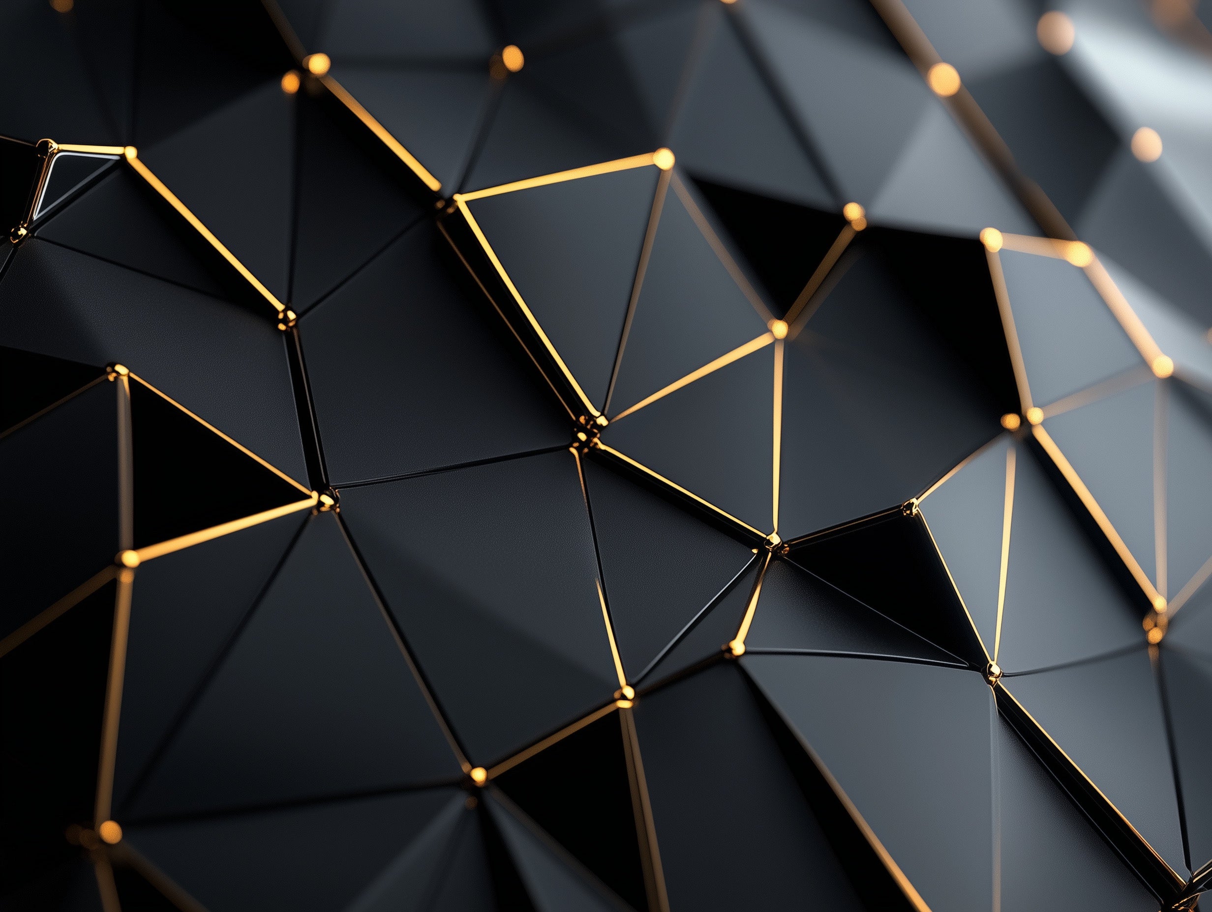 RENDER 29
