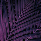 DECORACIÓN DE HOJAS 87